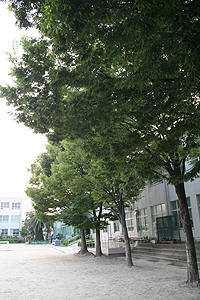 名古屋市立大生小学校